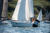 tigger 2828c whyw22 sun 750_2242yi